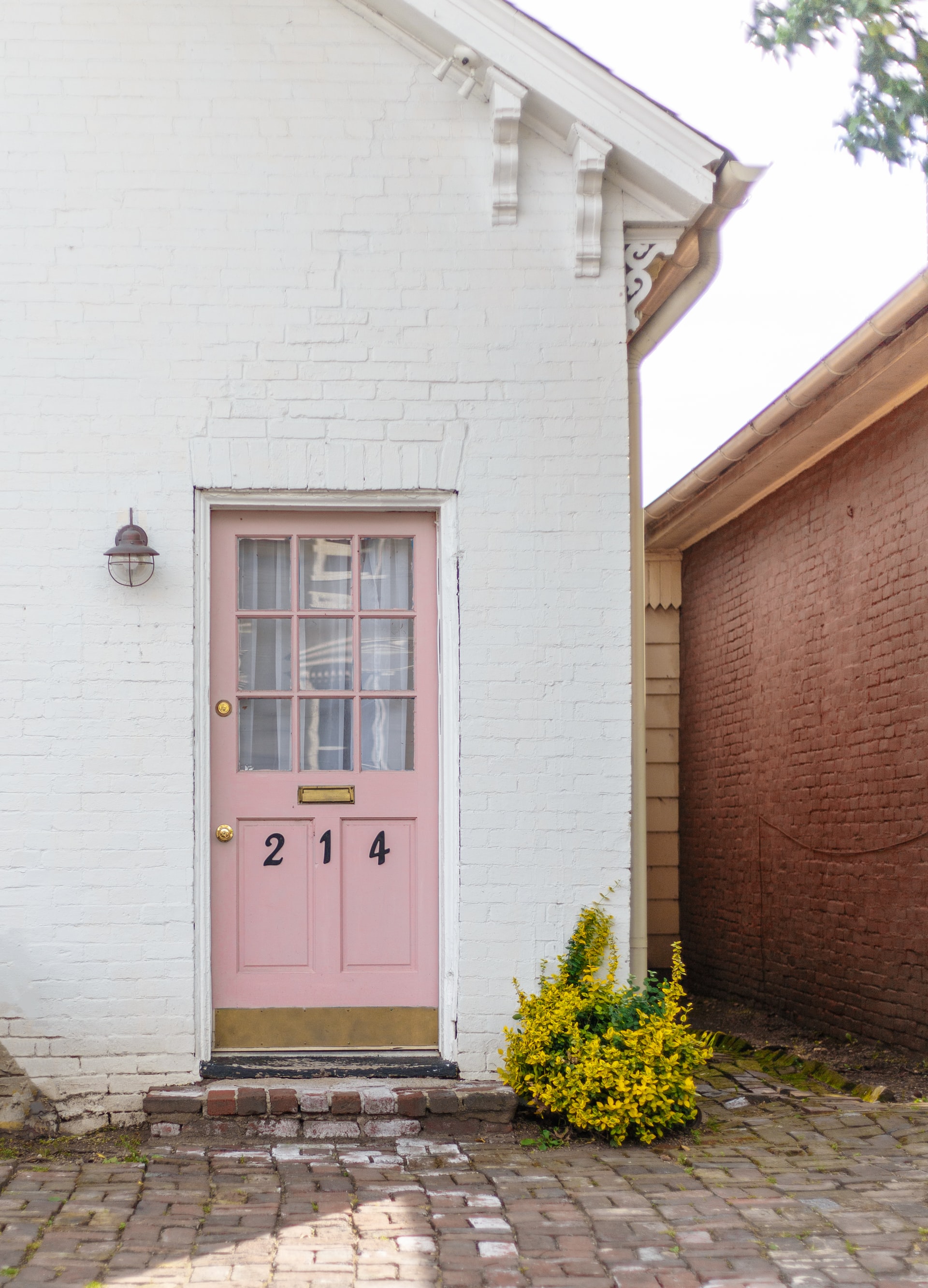 Pink back door
