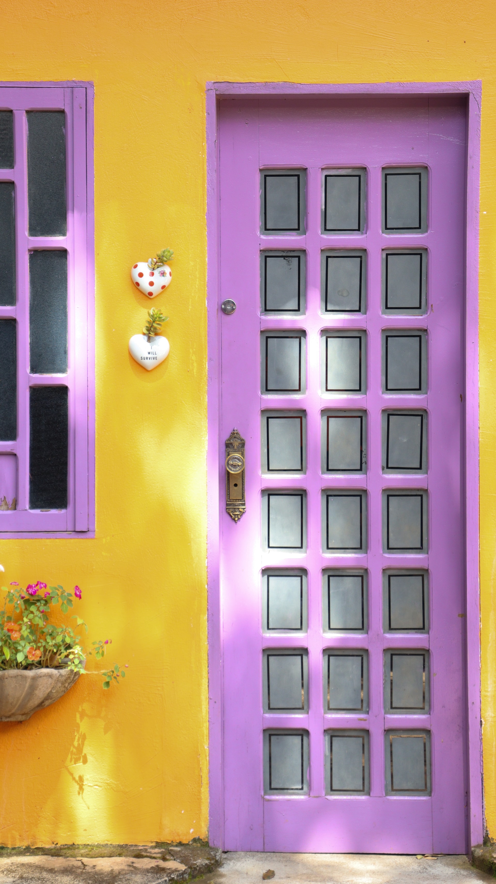 Purple front door and window on a yellow house