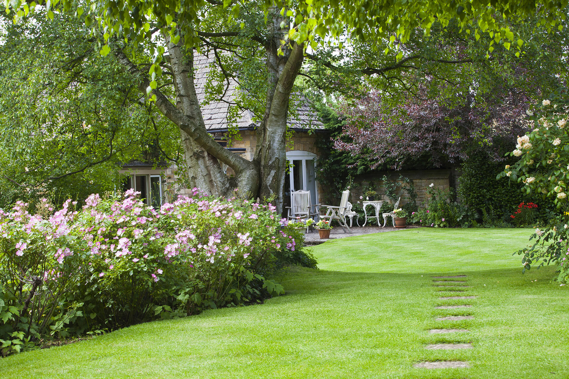 cottage garden